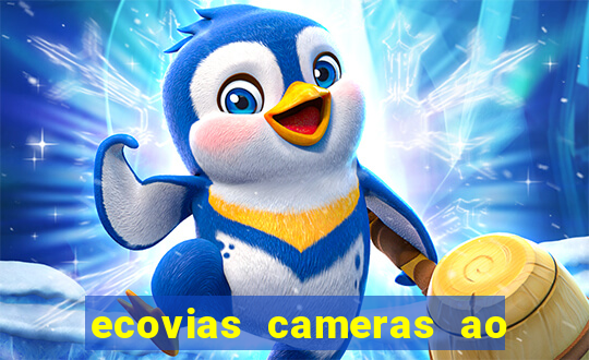 ecovias cameras ao vivo santos